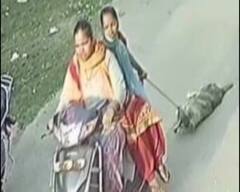 ਮਹਿਲਾਵਾਂ ਨੇ ਕੁੱਤੇ ਨੂੰ ਸਕੂਟੀ ਮਗਰ ਬਨ੍ਹ ਘਸੀਟਿਆ, ਕੁੱਤੇ ਦੀ ਹੋਈ ਮੌਤ