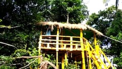 Karnataka school teacher's tree-house initiative helping tribal kids in studies