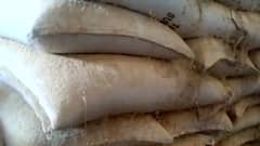 અરવલ્લીના મેઘરજમાં ગોડાઉનમાં મૂકેલું અનાજ સડી ગયું, પુરવઠા વિભાગની બેદરકારી