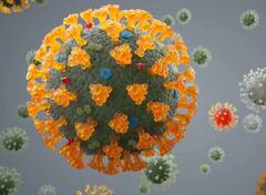 Corona : વેક્સિનેટ લોકોના પણ ડેલ્ટા પ્લસ વેરિયન્ટના કારણે થઇ રહ્યાં છે મોત, આ ઉંમરના લોકો રહે સાવધાન