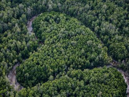 Indonesias Papua Sacred forests that allows only women without clothes பெண்கள் மட்டும் நுழையும் காடு - எங்கே உள்ளது தெரியுமா?