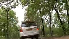 जंगल चाहिए या साढ़े 3 करोड़ कैरेट हीरे ? Chattarpur के बक्स्वाहा से Ground Report...