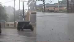 રાજ્યના કયા કયા વિસ્તારોમાં આજે હવામાન વિભાગે કરી વરસાદની આગાહી?,જુઓ વીડિયો