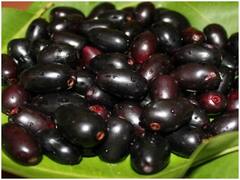Side Effects of Jamun: इन लोगों को नहीं खाना चाहिए भारतीय ब्लैकबेरी, जानिए क्यों