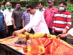 लाडका श्वान जेम्सचं निधन, अखेरचा निरोप देताना राज ठाकरे भावूक