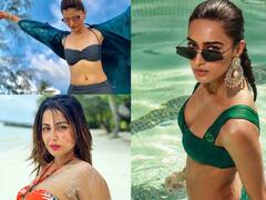 रुबीना दिलैक से लेकर हिना खान तक, 'संस्कारी बहू' की इमेज तोड़ने के लिए इन अभिनत्रियों ने दिखाया अपना बिकिनी अवतार