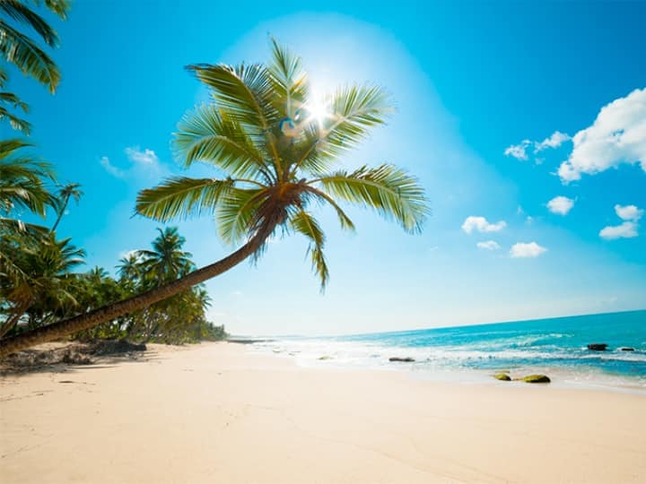 International Day of the Tropics 2021 Theme History and Significance Global Warming International Day of the Tropics 2021: दुनियाभर में आज मनाया जा रहा है इंटरनेशनल डे ऑफ ट्रॉपिक्स, थीम, इतिहास और महत्व जानें