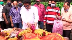 ठाकरे कुटुंबाचं श्वान प्रेम... लाडक्या 'जेम्स'ला अखेरचा निरोप देताना राज ठाकरे भावूक: स्पेशल रिपोर्ट