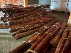 Sandalwood Seized From Dankuni: ডানকুনি থেকে বাজেয়াপ্ত ৬ টন চন্দন কাঠ