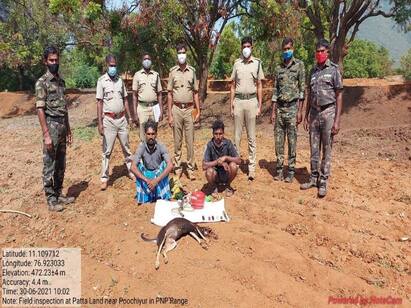 explosive-hunting gang in Coimbatore விலங்குகளை வேட்டையாட ’அவுட்டுக்காய்’ நாட்டு வெடிகுண்டு கோவையில் அதிர்ச்சி!