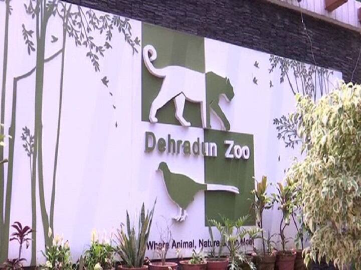 Dehradun Zoo open for tourists, permission to open amusement park in Uttarakhand ANN पर्यटकों के लिए खुला देहरादून जू, उत्तराखंड में मनोरंजन पार्क खोलने की भी परमिशन