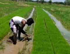 शेतकऱ्यांची फसवणूक केल्यास होणार तीन वर्षांचा कारावास; राज्याच्या नवीन कृषी कायद्यात तरतूद