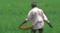 Great News for your budget; prices of edible oil to drop