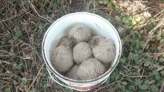 Bomb Recovered: খেজুরিতে অঙ্গনওয়াড়ি কেন্দ্রে মিলল বোমা! এলাকায় চাঞ্চল্য