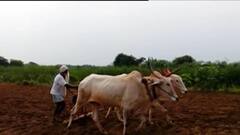 शेतकऱ्यांची फसवणूक केल्यास तीन वर्षांचा कारावास; राज्याच्या नवीन कृषी कायद्यात तरतूद!