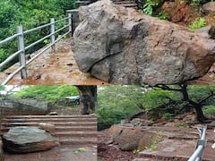 Raigad PHOTO : पावसाळ्यात किल्ले रायगडावर पायी जाताय? मग हे नक्की वाचा