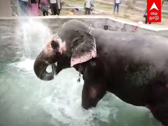 Akila elephant bath : ஆனந்தத்தில் அகிலா.. யானையின் உற்சாக குளியலை காண குவியும் கூட்டம்..