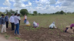 Rohit Pawar : आमदार रोहित पवार बळीराजाच्या बांधावर... हातात यंत्र घेऊन कुळपणी!