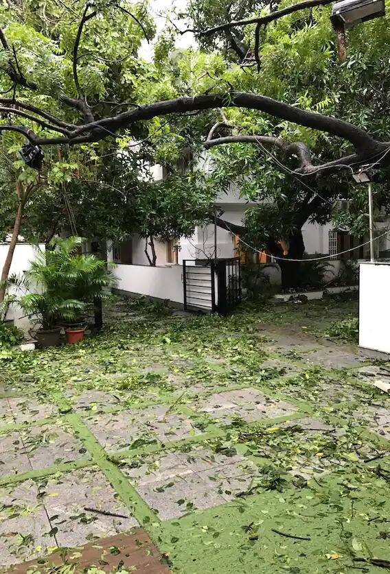 पिछले दिनों चेन्नई में आए तूफान के बाद सैंदर्या ने घर के बाहर की ये तस्वीर शेयर की थी. (Photo Credit: Soundarya Rajinikanth Twitter)