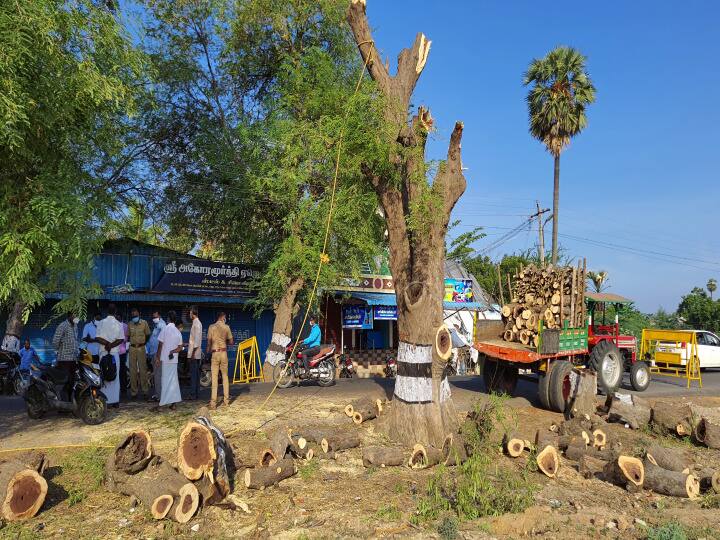 smuggling of trees with forged documents மயிலாடுதுறை: இறந்தவர் பெயரில் போலி ஆவணங்கள்.. 50 ஆண்டுகள் பழமையான மரங்களை வெட்டி கடத்திய புகாரில் விசாரணை..!