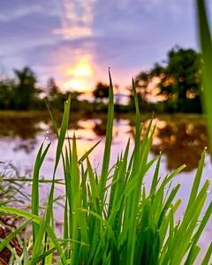 Maharashtra Krishi Day : 'लाखांचा पोशिंदा' अडचणीत; त्याला जगवलं पाहिजे
