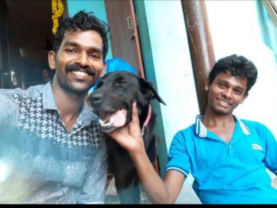 நாயை அடித்து கொன்ற விவகாரம்; கேரளாவில் களேபரம்! நாயை அடித்து கொன்ற விவகாரம்; கேரளாவில் களேபரம்!