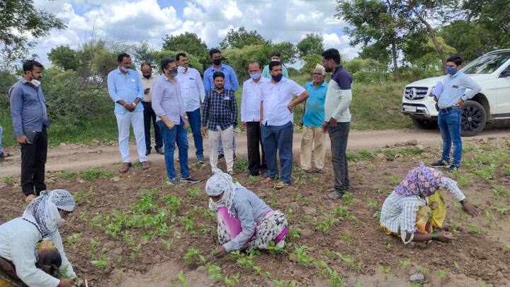 काल (बुधवार) 30 जून रोजी कर्जतमधील दत्ता पाडुळे यांच्या शेतात भेट दिली. त्यावेळी रोहित पवार यांनी यंत्र चालवून कोळपणीही केली. (Photo Credit : @RRPSpeaks/Twitter)