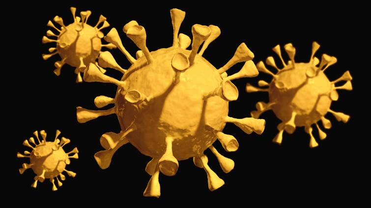 India Coronavirus Updates:  46617 new cases, s with 853 death recorded in 24 hours in India 2 july 2021 India Corona Cases, 2 July: দেশে করোনায় মৃতের সংখ্যা পেরোল চার লক্ষ,  কমেছে দৈনিক মৃত্যু ও সংক্রমণ
