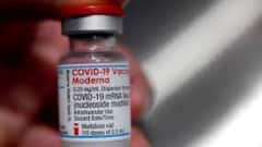Corona Vaccine: ভারতে কোভিশিল্ড, কোভ্যাকসিন, স্পুটনিক ভি-র তালিকায় কি যোগ হচ্ছে মডার্নার তৈরি ভ্যাকসিন?