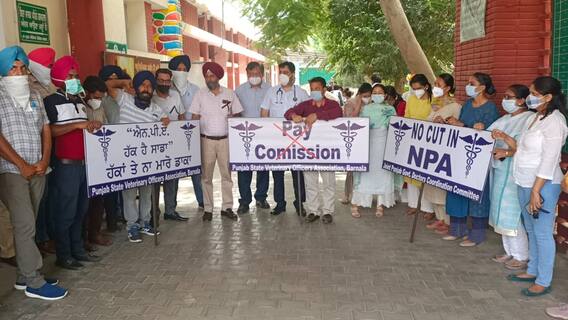 National Doctors’ Day: ਕੌਮੀ ਡਾਕਟਰ ਦਿਹਾੜੇ 'ਤੇ ਹੀ ਹੜਤਾਲ 'ਤੇ ਪੰਜਾਬ ਦੇ ਡਾਕਟਰ, ਕੈਪਟਨ ਸਰਕਾਰ ਨੂੰ ਚੇਤਾਵਨੀ National Doctors’ Day: ਕੌਮੀ ਡਾਕਟਰ ਦਿਹਾੜੇ 'ਤੇ ਹੀ ਹੜਤਾਲ 'ਤੇ ਪੰਜਾਬ ਦੇ ਡਾਕਟਰ, ਕੈਪਟਨ ਸਰਕਾਰ ਨੂੰ ਚੇਤਾਵਨੀ