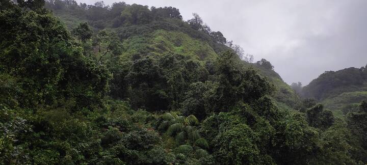 आताही तेवढाच प्रचंड मोठा दगड या ठिकाणी येऊन स्टॉलच्या अगदी तोंडाजवळ येऊन थांबला. जर धबधब्यावरील पर्यटन सुरू असते तर मोठा अपघात घडला असता.