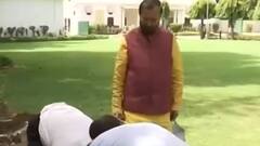 Van Mahotsav: Prakash Javadekar reveals, 'India will create 2 billion carbon sequestration by 2030'