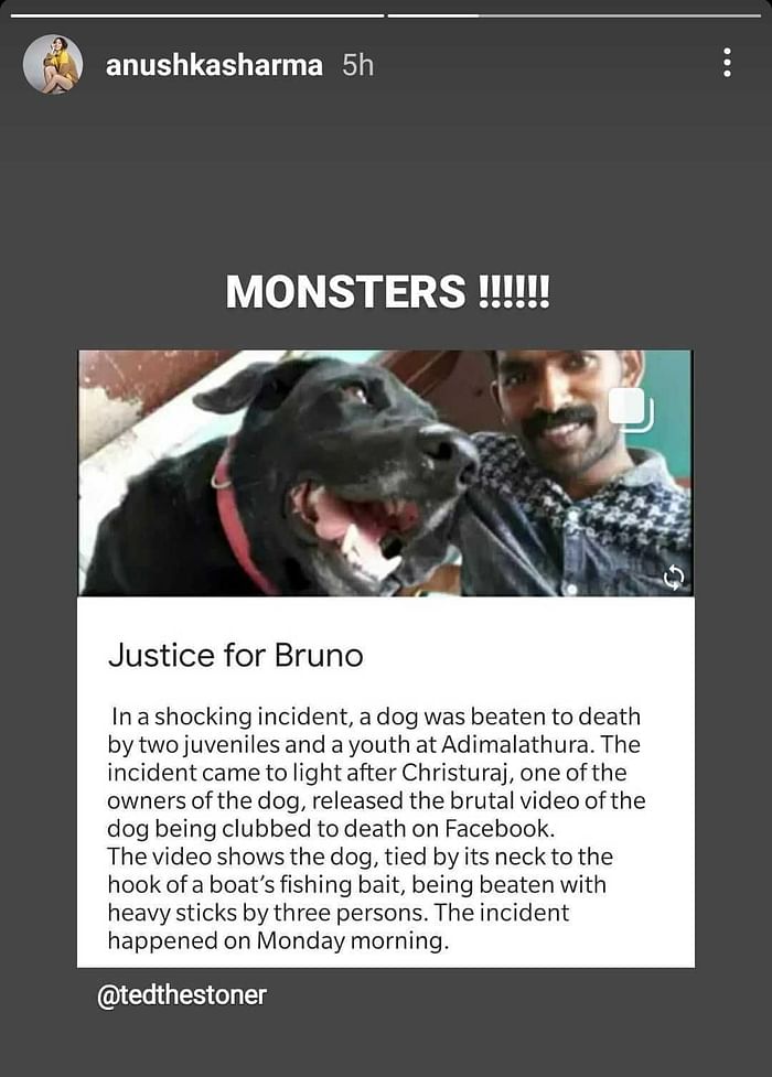 Justice For Bruno: Alia, Anushka, Malaika, Tiger Shroff & Others Demand Justice Dog Who Was Brutally Beaten To Death By 3 Youths In Kerala