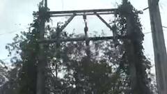 ઉત્તર ગુજરાત વીજ કંપનીની બેદરકારી, બહુચરાજીમાં ઠેર ઠેર લટકતા મોતના વાયરો