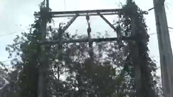 ઉત્તર ગુજરાત વીજ કંપનીની બેદરકારી, બહુચરાજીમાં ઠેર ઠેર લટકતા મોતના વાયરો