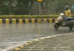 IN PICS | Rain Brings Respite Amid Heatwave Conditions As Parts Of Delhi, Dehradun Witness Light Drizzle