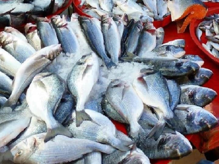 बिहारः हाजीपुर में शराब पीने से हजारों मछलियों की हुई मौत, सामने आई पुलिस की लापरवाही
