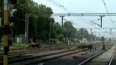 વડોદરાના બાજવા ગામમાં હજુ નથી બન્યો ઓવર બ્રિજ, લોકોને સુવિધાના સ્થાને મુશ્કેલી