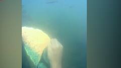 रत्नागिरीच्या विजय शिंदेनं पाण्याखाली साकारलं महाराजांचं चित्र, अशी चित्रकला तुम्ही कधी पाहिलीय?