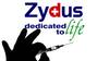 Zydus Cadila Children Vaccine : झायडस कॅडिलाची लस भारतात येणार? लसीकरणानंतर शाळा सुरू होणार?