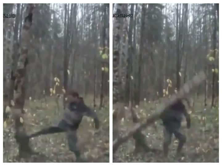 Man kicking tree and cutting it video goes viral in twitter Trending | 