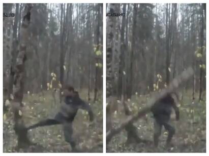 Man kicking tree and cutting it video goes viral in twitter Trending | ஸ்கெட்ச்சு மரத்துக்கு இல்லடா.. உனக்குதான் : ட்ரெண்டாகும் சூப்பர் வைரல் வீடியோ..!