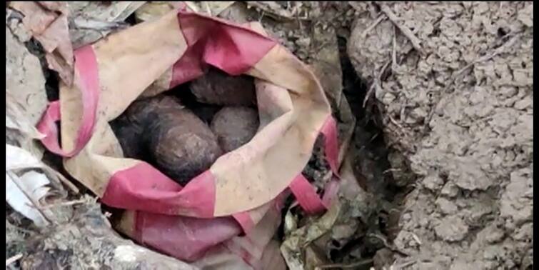 South 24 Parganas Bhangar Bombs Recovered from ISF Supporters home erupts political tussle with TMC ভাঙড়ের আইএসএফ কর্মীর বাড়িতে বোমা উদ্ধার, শুরু রাজনৈতিক তরজা