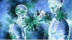 Mucormycosis: বাঁকুড়ায় ঊর্ধ্বমুখী মিউকরমাইকোসিসে আক্রান্ত ও মৃতের গ্রাফ