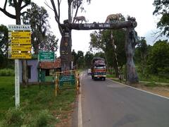 மச்சி ஒரு டிரிப் போலமா? Part-5: ஊட்டிக்கு இந்த ரூட்டில் போயிருக்கீங்களா? இது வேற லெவல் ட்ரிப்!