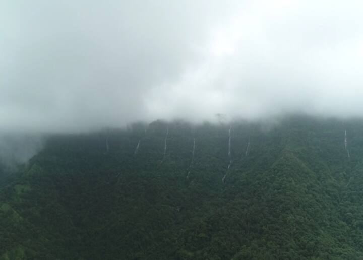 कोकण बारमाही हिरवंगार असतं मात्र पावसाळ्यात कोकण अधिकच खुलून दिसत.