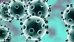 Coronavirus India Update: Over 44K new Covid cases, 738 deaths in 24 hrs