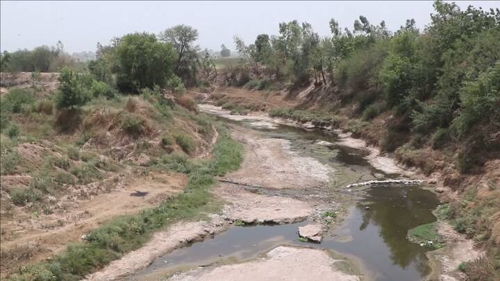 ਇਸ ਦੇ ਨਲਾ ਹੀ ਕਿਸਾਨ ਕਹਿ ਰਹੇ ਹਨ ਕਿ ਇਹ ਸਿਰਫ ਖਾਨਾਪੁਰਤੀ ਹੈ ਹੋਰ ਕੁਝ ਨਹੀਂ, ਜੇ ਮਿੱਟੀ ਨੂੰ ਕਿਨਾਰਿਆਂ 'ਤੇ ਚੰਗੀ ਤਰ੍ਹਾਂ ਲਾਗੂ ਕਰਨਾ ਹੈ ਤਾਂ ਇਸ ਨੂੰ ਵੱਡੇ ਜੇਸੀਬੀ ਅਤੇ ਪੋਕਲੈਂਡ ਦੀਆਂ ਮਸ਼ੀਨਾਂ ਨਾਲ ਕੀਤਾ ਜਾਣਾ ਚਾਹੀਦਾ ਹੈ।