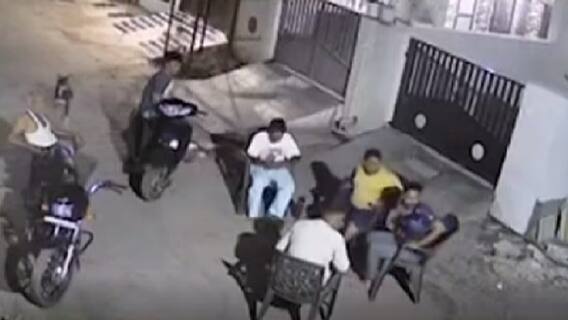 જામનગરમાં જાહેર માર્ગ પર ઢોરનો ત્રાસ, સોસાયટીની બહાર ખુરશીમાં બેસેલા લોકોને રખડતા પશુઓએ લીધા અડફેટે