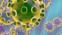 Coronavirus India Update: 43k new cases of Covid, 955 deaths in 24 hrs